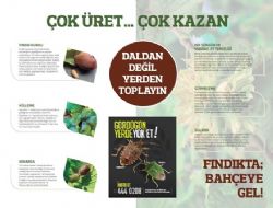 FINDIKTA; BAHÇEYE GEL!